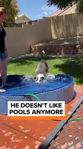 176K views · 253 reactions | He was so confused! | Go Fetch | Facebook