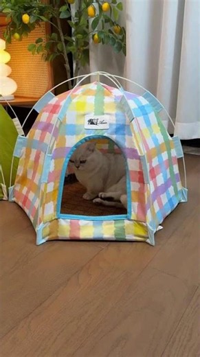 You Need This Cat Tent ASAP #CatLife 🐱