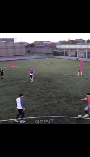 Mastering Soccer Skills: Robinho and Ronaldinho Highlights