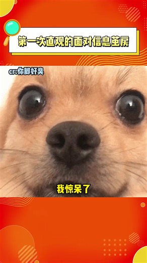 第一次这么直观的面对信息茧房，你只能看见它想让你看见的......#娱乐评论大赏 #信息茧房 #细思极恐