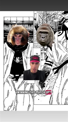Punch vs Harambe: Who Comes Out on Top?