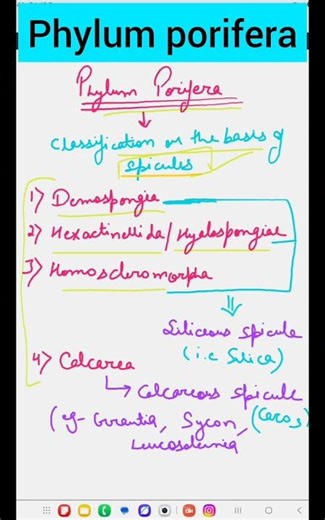 Phylum porifera | Porifera classification #neet #neetbiology #csir #csirnet ##lifescience #biology