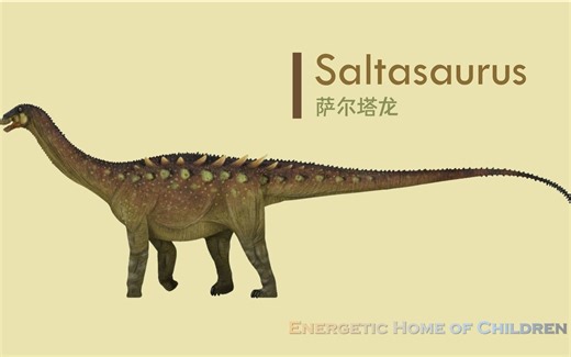 【自制/英语】恐龙小百科 45 Saltasaurus 萨尔塔龙