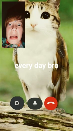 I dont even care if its cringe bro I cannot edit these videos