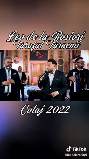 Leo de la Rosiori pe TikTok