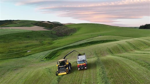 When the pressure is on, you need machinery that doesn't quit. Check out the New Holland Forage Harvester and Wheel Loader combo dominating the field in our latest video. This isn't just about horsepower; it's about smart features designed to keep your operation moving: UltraFeed™ Pick Up: Ensures smooth, consistent crop flow for maximum throughput. Easy Access Chute: Designed for quick maintenance to minimize downtime and keep you chopping. Unrivalled Pushing Power: Our Wheel Loaders (equipped 