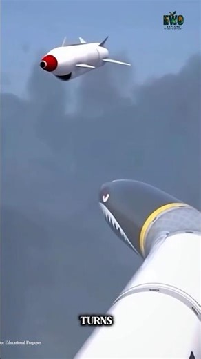 The Brain and Brawn of a Guided Missile. #documentary#usashorts#fyp