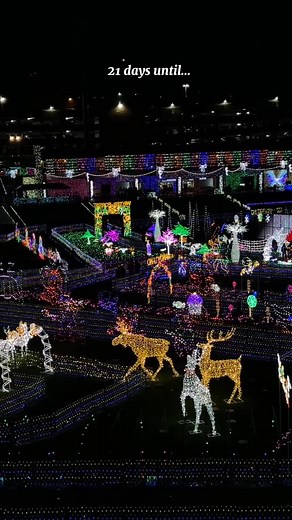 The holidays are almost here… and Charleston is getting ready to Light the Night once again! 🎄✨ 📍 GoMart Ballpark West Virginia’s biggest light festival returns to the Capital City — brighter, bigger, and more magical than ever. 🌟 ✨ Opening Night: November 21st ✨ Mark your calendars, grab some cocoa, and get ready to stroll through a winter wonderland right here in #CWV. ❄️ Let the countdown begin! 🔗 Learn more https://www.dblightthenight.com | Charleston WV CVB