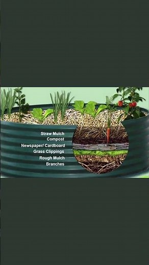 How to Build a Lasagna Garden Bed | Step-by-Step Guide for a Fertile Garden