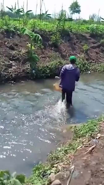 Witness Fish Catching Epic Moments in Action