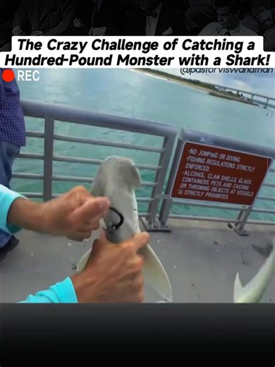 The Crazy Challenge of Catching a Hundred-Pound Monster with a Shark! #shrimping #foryourpage #fisherman #catchfish #fish #catch #foryou #shrimp #fisherfolk #crab #fyp #fishing | Buffa | Facebook