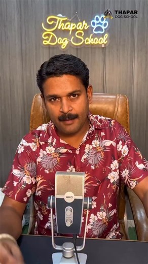 Dog Training in just 10 days✅ Is he giving you problems? Don’t worry we’re here to make your dog naughty to obedient 💯 Only 10 days Coarse 🐶 Contact us for more information 9876143761☎️ #training #cute #puppy #obedience #petlovers pets | Thapar Dog School