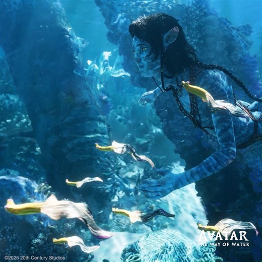 Rediscover Pandora's magic in 3D! Avatar: The Way of Water, back on the big screen from 3 October for a week only. Don't miss it! 🌊💫 | 20th Century Studios