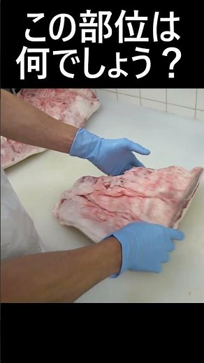牛肉の部位、これはどこの部位？ #焼肉 #料理 #牛肉部位