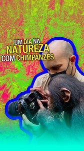 JC Pieri (@jcpieri) teve a chance de conhecer #chimpanzés resgatados que vivem em um santuário em Camarões. | PlayGround BR
