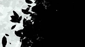 Transition Overlay Transition Animation Looping Video Stock Footage Video (100% Royalty-free) 1109230623 | Shutterstock