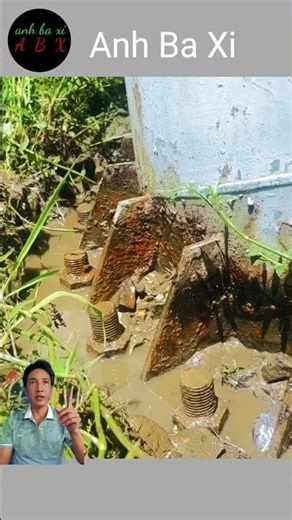 What will the future hold for this utility pole?