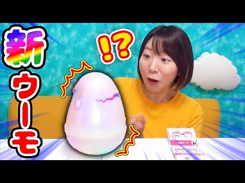 【新発売】あのウーモが超パワーアップして帰ってきた😳!? 『うまれて！ウーモ アライブ』がとんでもなかった…！！！