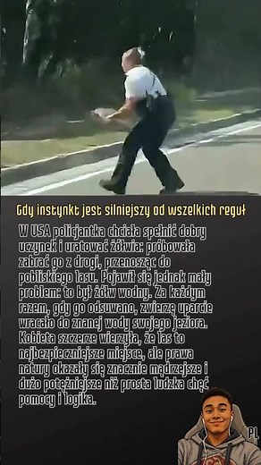 Gdy instynkt jest silniejszy od wszelkich reguł #Natura #Policja #Zolw