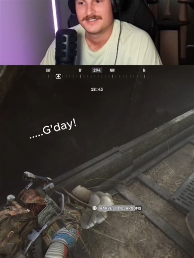 Exploring the Excitement of Mushroom Hunting