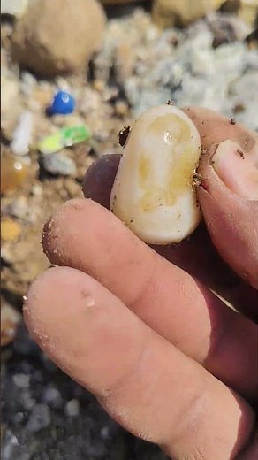 How to Find Gemstones, Agates, Crystals & Pearls in a River | Diamond Hunter