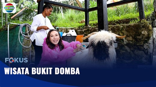 Wisata Bukit Domba | Fokus