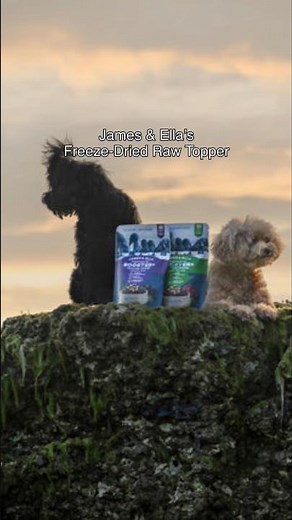 James & Ella new freeze dried raw tooper
