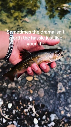 Just live your life don’t let anyone tell you want you can and can’t do #fypシ゚ #viral #blowup #fyp #chill #fishing #life @dkshlime @Zach.bou @𝕬𝖓𝖙𝖍𝖔𝖓𝖞🍻👑 @hadi⛰️ @Max 💫