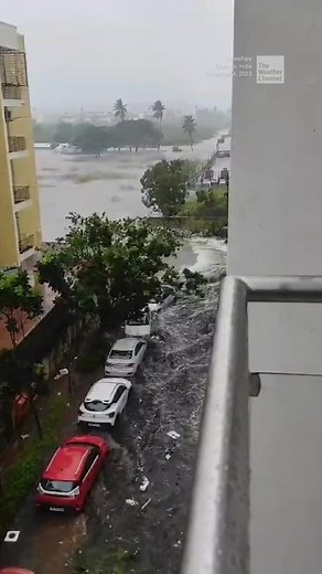 8K views · 60 reactions | Psychological Healing for Disaster...