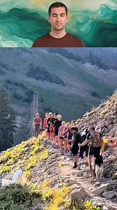 Goat vs Bear #goat #bear #fyp #viral | Jester King