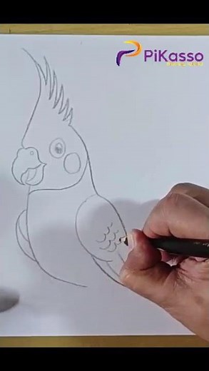 How to Draw a Cockatiel Bird Easy in Less Than One Minutes