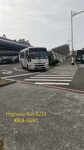 Bus record : 公車紀錄 550 (2024/12/15）Taiwan Highway Bus 8233 ΚΚΑ-8690