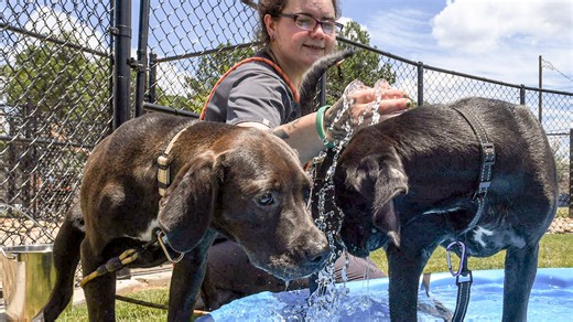 AccuWeather's 2025 summer forecast has arrived. Here's what it predicts for Wisconsin