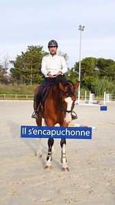 Ton cheval s'encapuchonne ? Essaye ça ! Et relève le Défi TDSE ⤵ sio.terredesportequestre.com/defi #cheval #horse | Terre de Sport Equestre