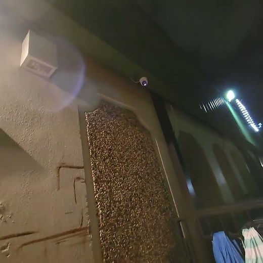 Testing Blue Iris AI security monitoring system...