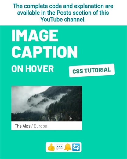 🤩 Image Caption #css #javascript #html #tutorial #hovereffects #how #animation #webdesign #webdev #x