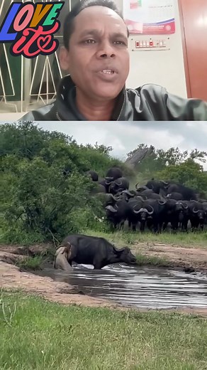 9.4K views · 55 reactions | একা না বোকা,একতাই বল। #unity_is_strength #get_ready. | Arifuzzaman Kakon | Facebook