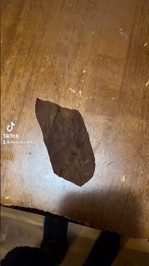 HOW TO ROLL A BACKWOOD #backwoods #howto #tutorial #funny #fyp #funnyvideo #viralvideo #viral