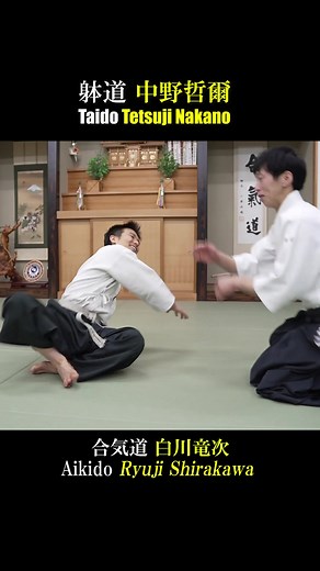 躰道と合気道の技術を探求する