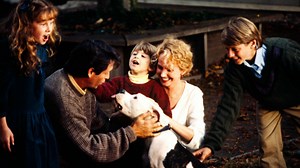 Watch Homeward Bound: The Incredible Journey 1993 full movie on Fmovies