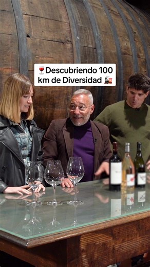 Descubriendo la magia del vino en Rioja
