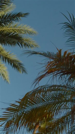 The best way to kick off the holiday season? At the Riverwalk! 🎄🎅 The annual Holiday Tree Lighting never disappoints, and we had a festive evening full of food, fun and entertainment. Thanks to everyone who stopped by to say hi - we loved celebrating the season with all of you! | Grow Financial Federal Credit Union