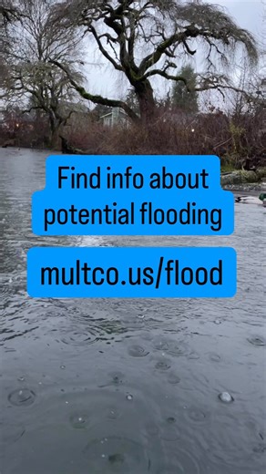 Multnomah County on Instagram: "It’s important to prepare now for potential flooding in the coming days. We have info on up-to-date flood preparation, evacuation plans, flood insurance and much more at multco.us/flood"