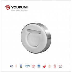[Hot Item] PFA Lined Single Disc Check Valve for Fluorine Chemical