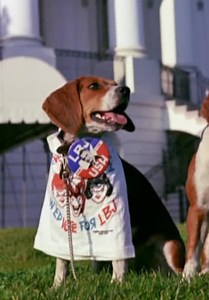 Dogs 101 S01:E05 - All the Presidents' Pets