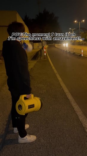 Illuminate Your Dog Walks with this Flashlight