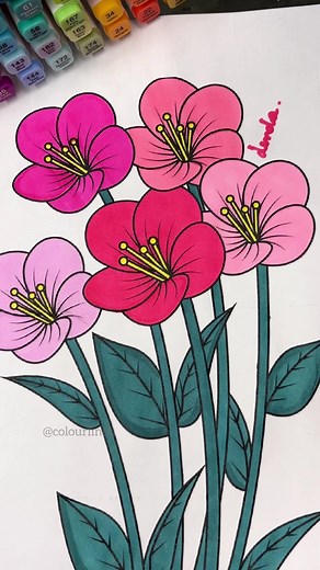 Colorful Flower ASMR Relaxation Video