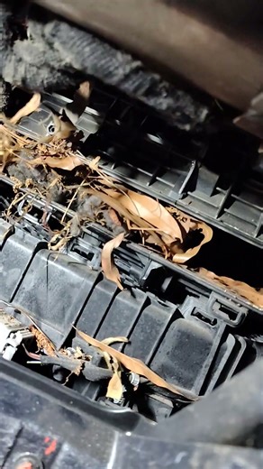 2015 Chevrolet Silverado fresh air filter replacement.