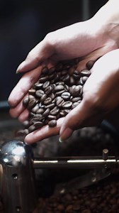 Download Close up of hand holding coffee beans for free