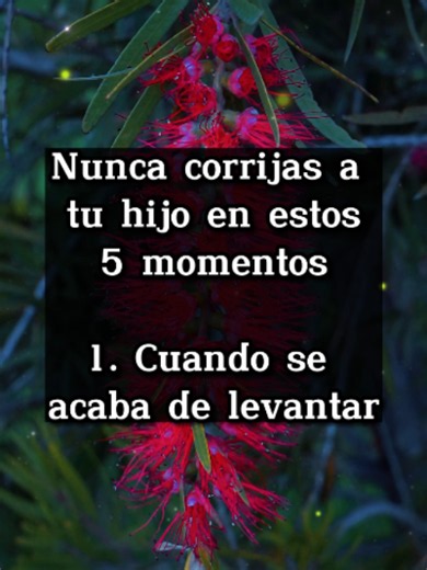 #hijo #madres #reflexiones #padres | parent reflexes